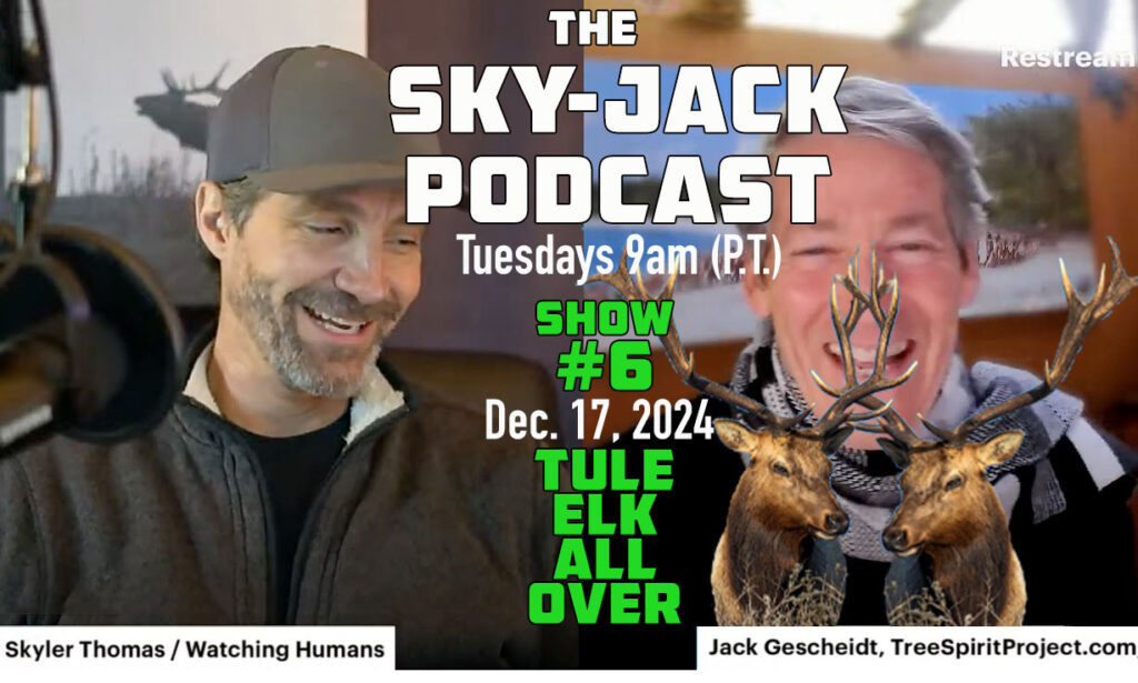 Sky-Jack-Skyler-Thomas-and-Jack-Gescheidt -Podcast-#6-SMILES--Dec-17-2024-Tule-Elk-All-Over.jpg