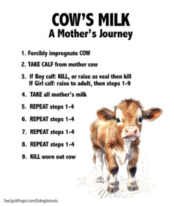 Cows-Milk-A-Mother-Cow's-Journey-v1-900p.jpg