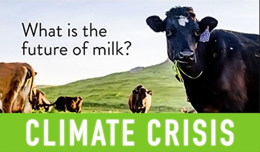 future-of-milk-ADD-CLIMATE-CRISIS-emergency-900p.jpg