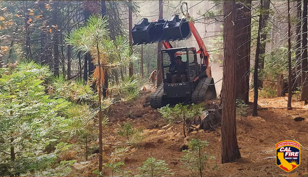 Cal-Fire-California-State-Parks-California-Department-of-Forestry-and-Fire-Prevention-Tomales-Bay-State-Park-defroestation-forestry-VTP-machinery-w-CalFire-patch