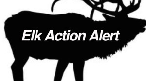 Point-Reyes-National-Seashore-Park-Tule-Elk-ACTION-ALERT-GRAPHIC-v2-WEB.jpg