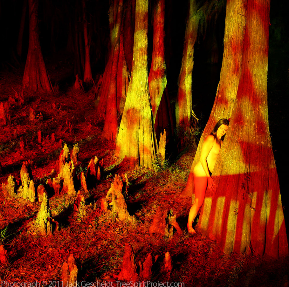 Cypress Trippy (red)