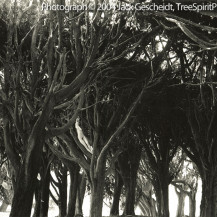 Cypress Grove Recline