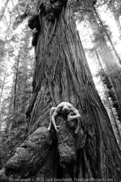 Big-Wood-Love-TreeSpiritProject-Jack-0148-1000p-WEB